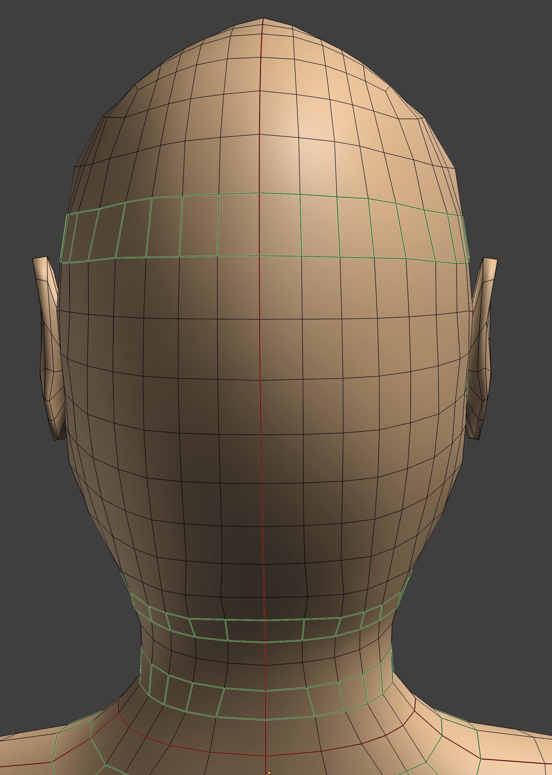 Face Loops