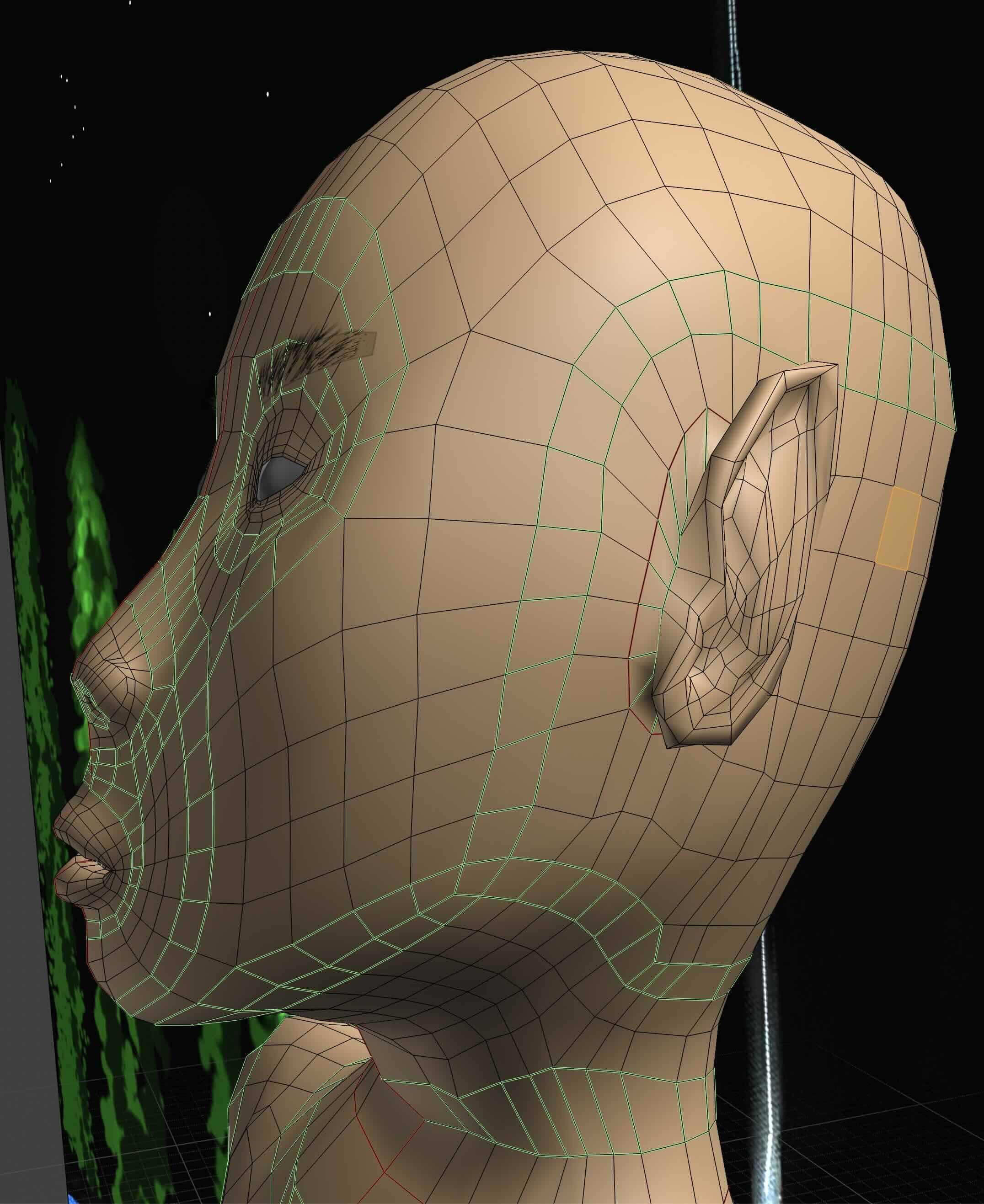 Face Loops