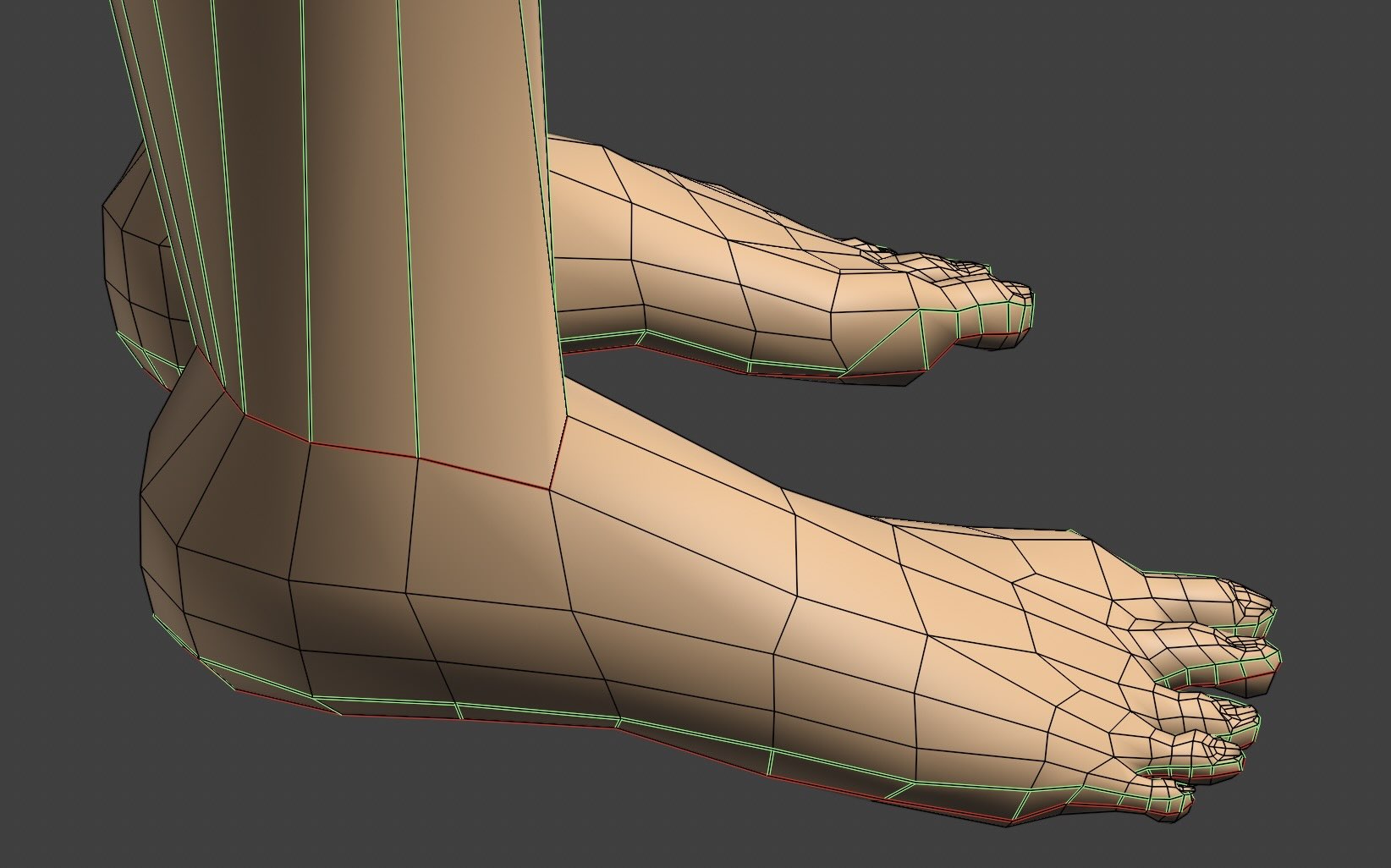 Feet Loops