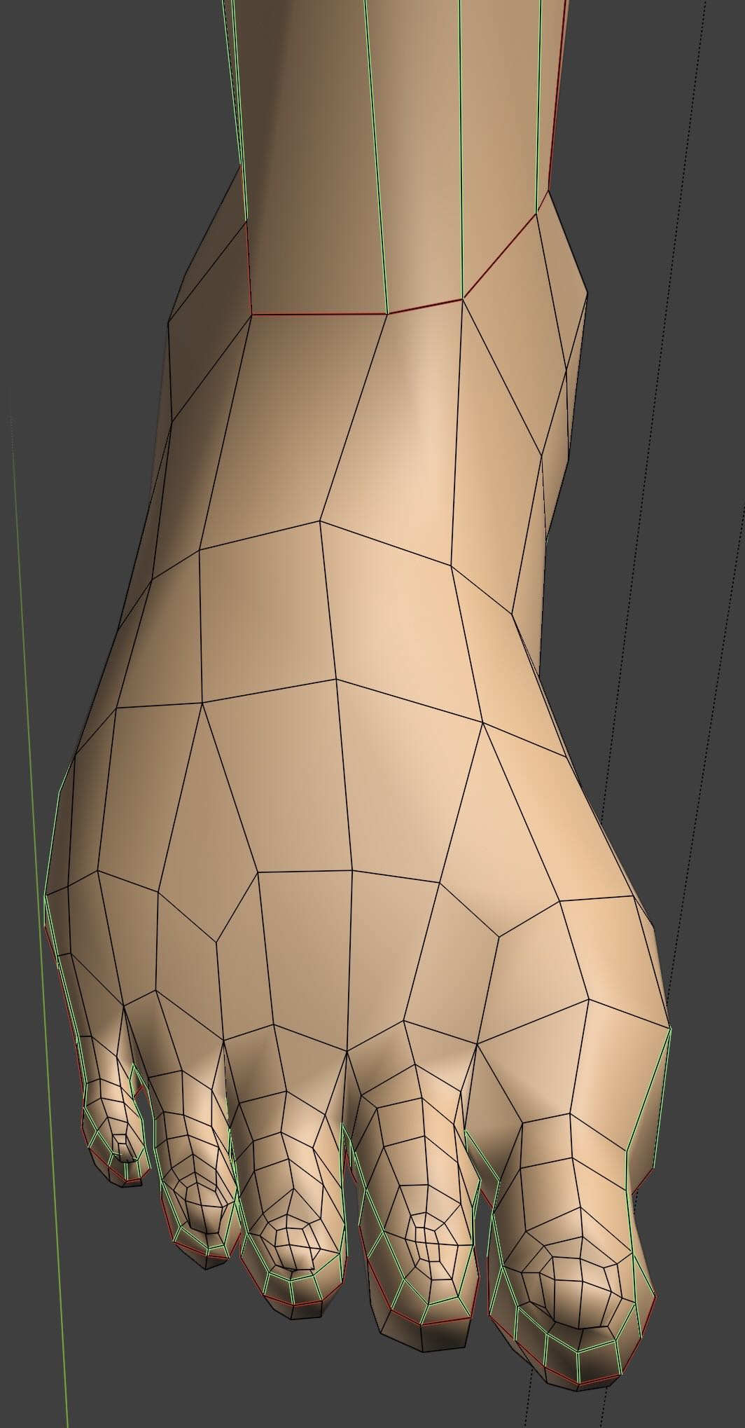Feet Loops